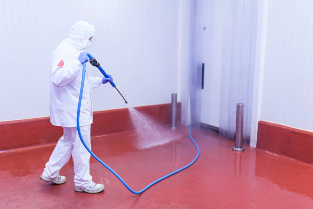 Best Roof Cleaning and Mildew Removal in Hettinger, ND